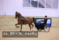 21_BUCK_01285 proof