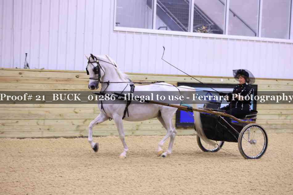Proof 21_BUCK_01286