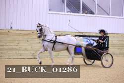 21_BUCK_01286 proof