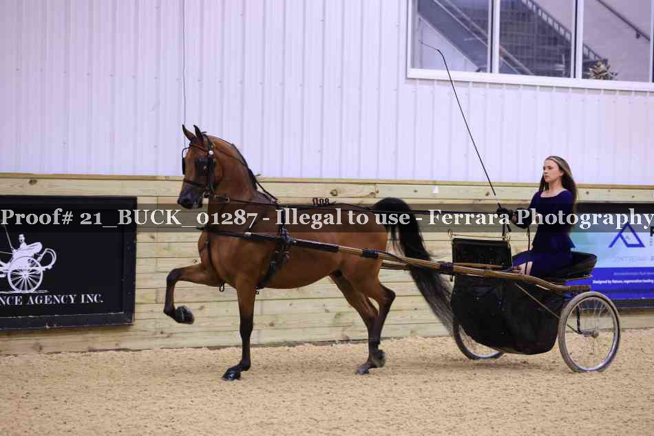 Proof 21_BUCK_01287