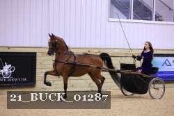 21_BUCK_01287 proof