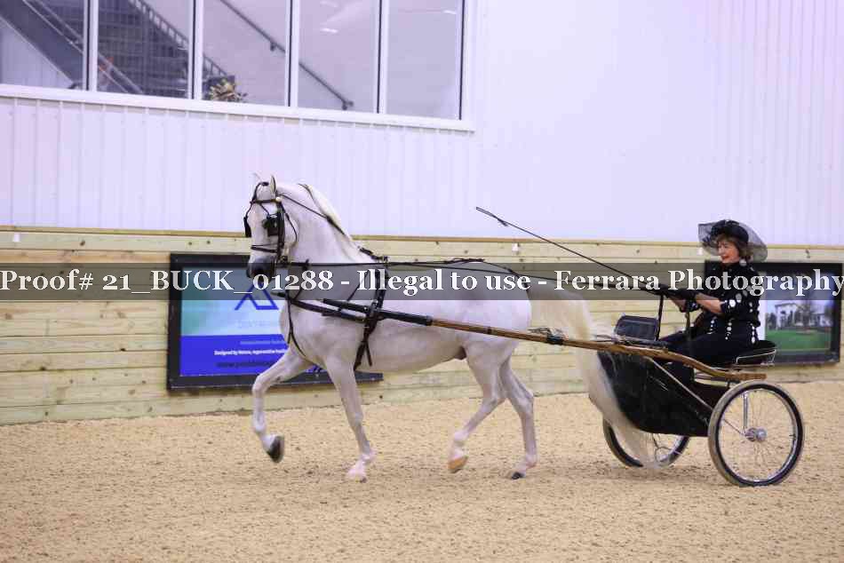 Proof 21_BUCK_01288