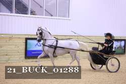21_BUCK_01288 proof