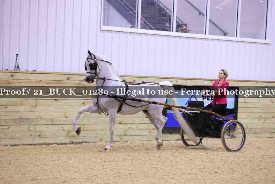 Proof 21_BUCK_01289