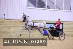 21_BUCK_01289 proof