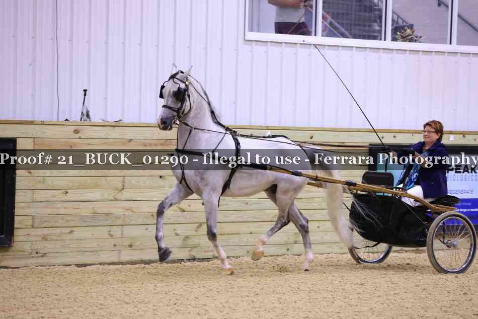 Proof 21_BUCK_01290