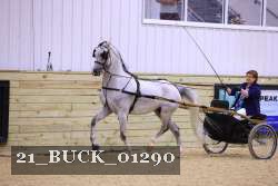 21_BUCK_01290 proof