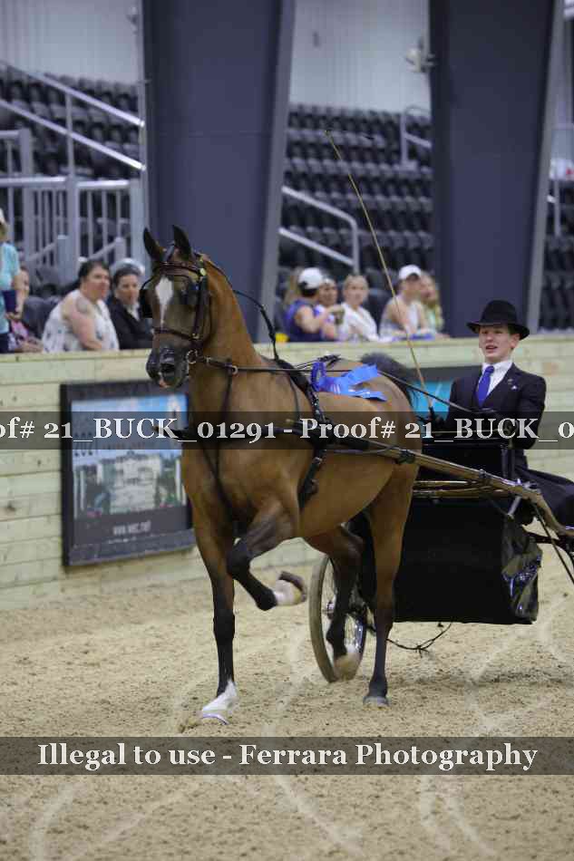 Proof 21_BUCK_01291