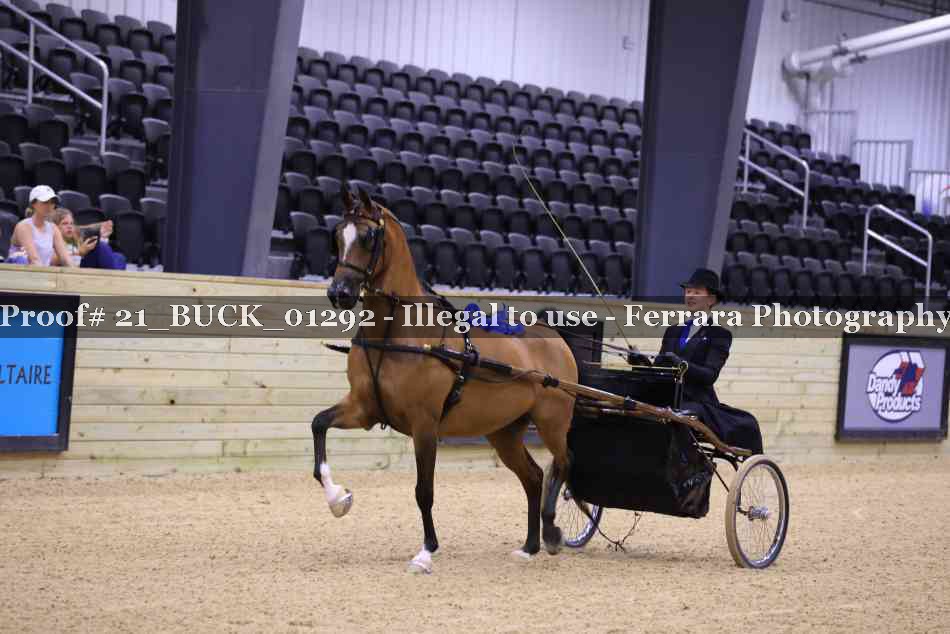 Proof 21_BUCK_01292