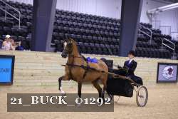 21_BUCK_01292 proof