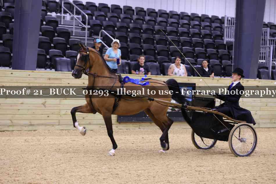 Proof 21_BUCK_01293