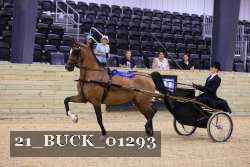 21_BUCK_01293 proof