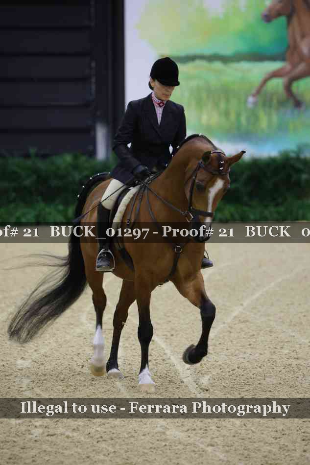 Proof 21_BUCK_01297