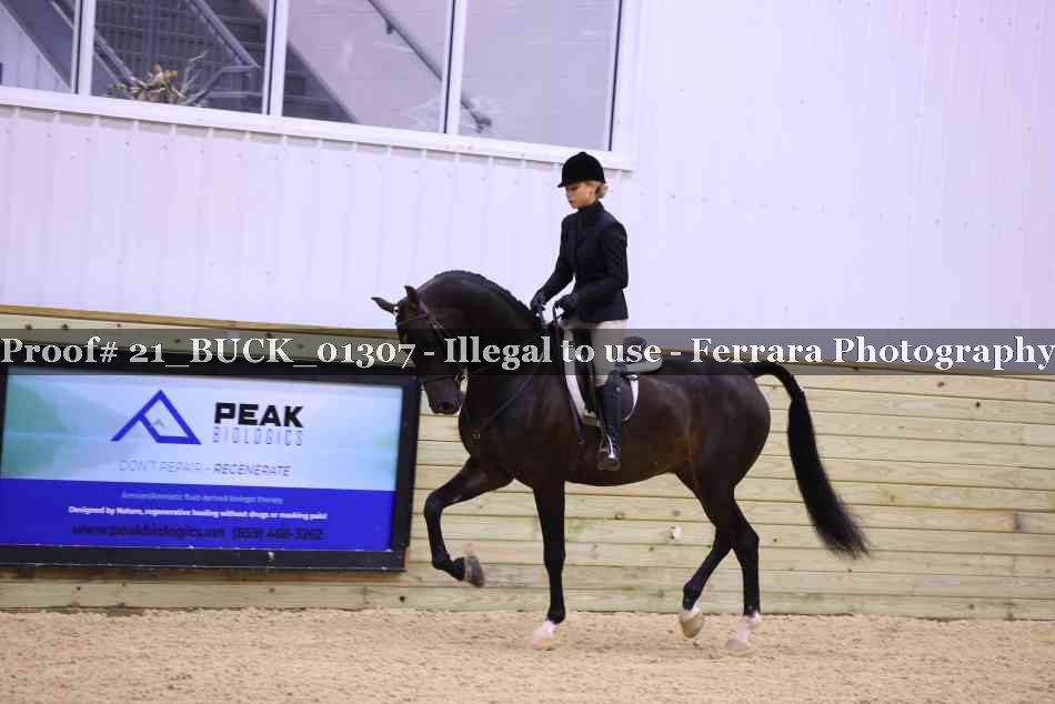 Proof 21_BUCK_01307