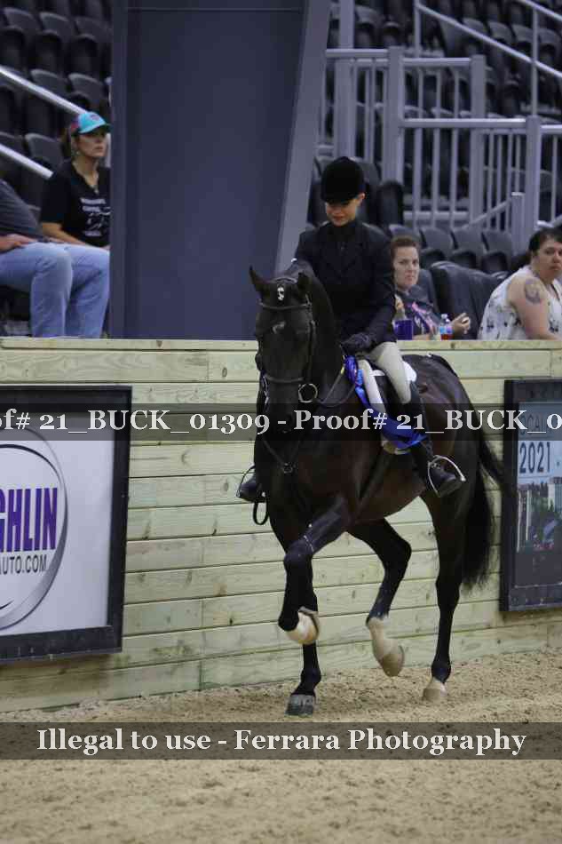 Proof 21_BUCK_01309
