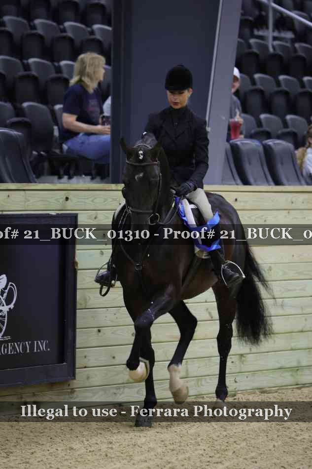 Proof 21_BUCK_01310