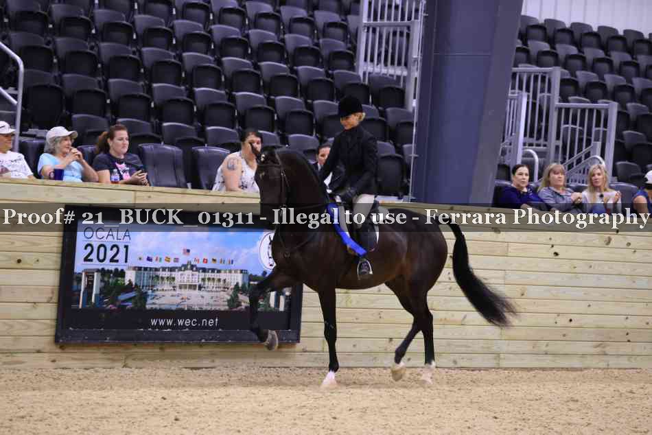 Proof 21_BUCK_01311
