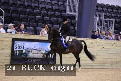 21_BUCK_01311 proof