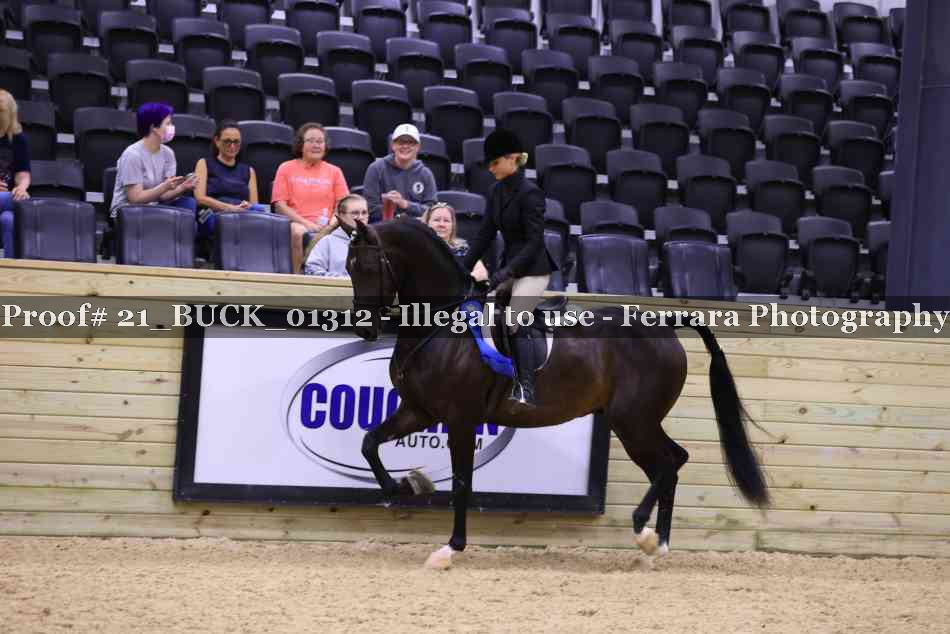 Proof 21_BUCK_01312