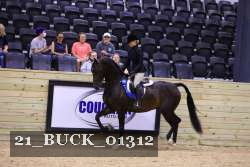 21_BUCK_01312 proof