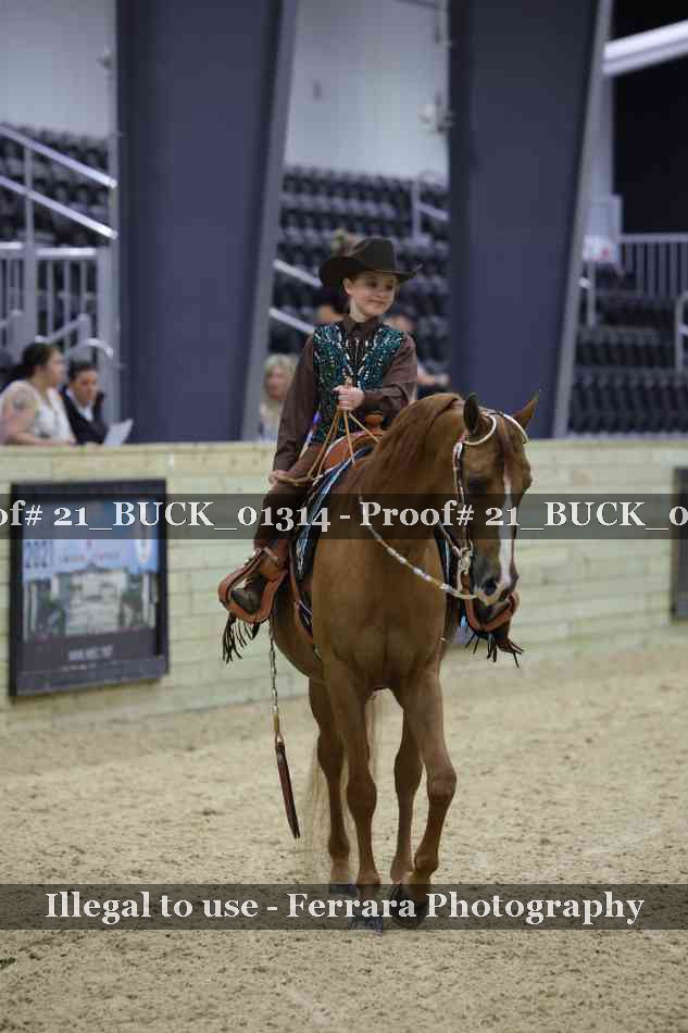 Proof 21_BUCK_01314