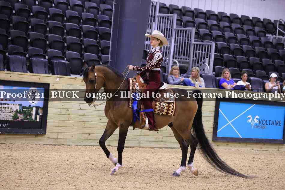Proof 21_BUCK_01350