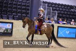 21_BUCK_01350 proof