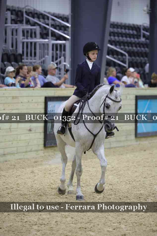 Proof 21_BUCK_01352