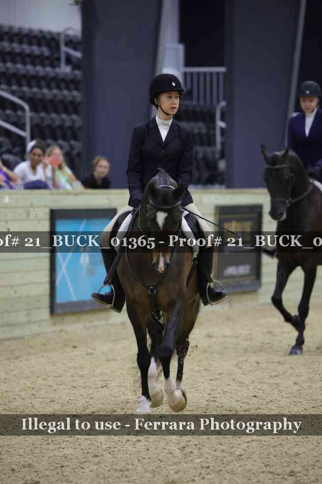 Proof 21_BUCK_01365