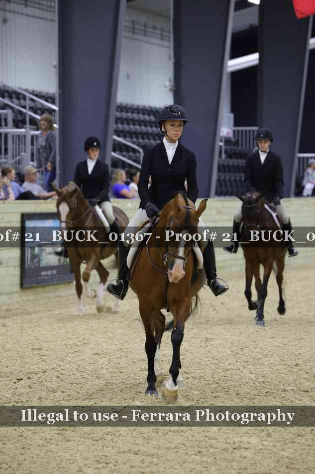 Proof 21_BUCK_01367
