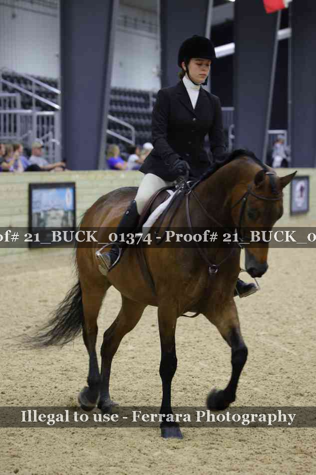 Proof 21_BUCK_01374