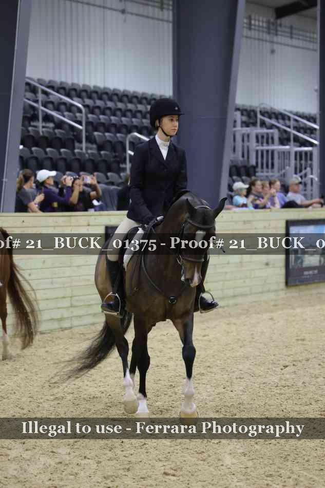 Proof 21_BUCK_01375