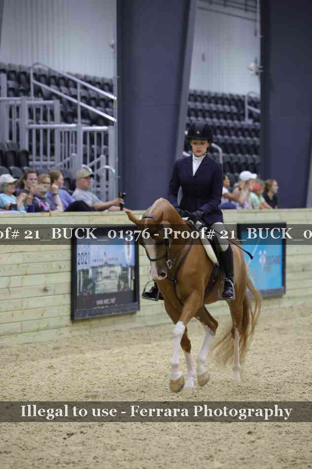 Proof 21_BUCK_01376