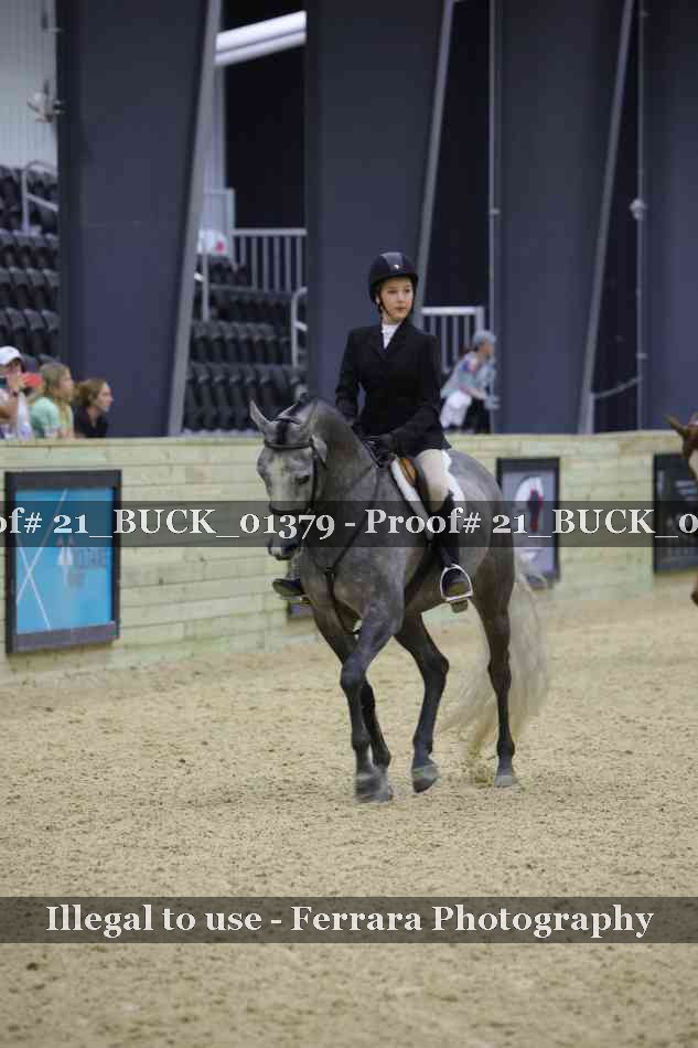 Proof 21_BUCK_01379