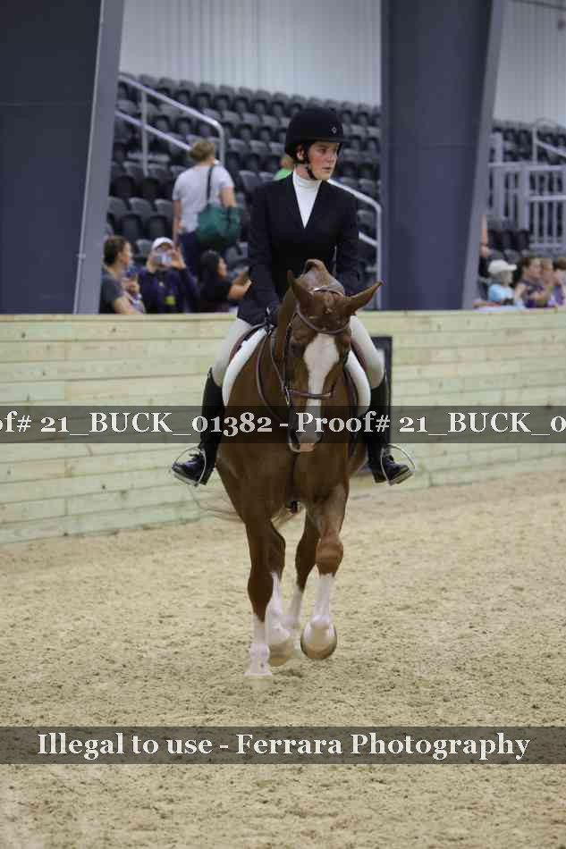 Proof 21_BUCK_01382