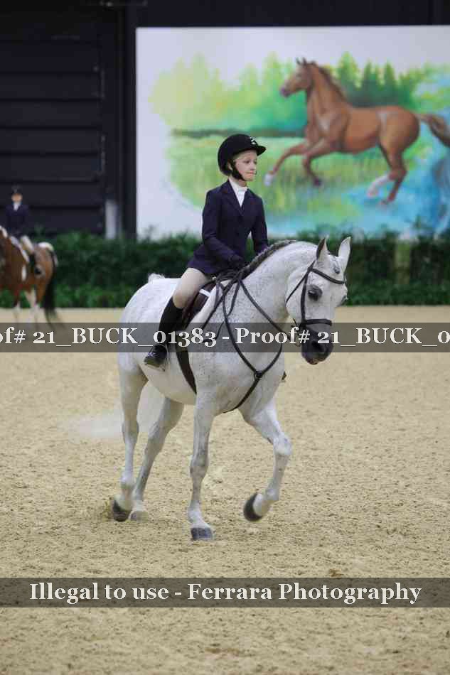 Proof 21_BUCK_01383
