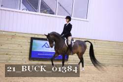 21_BUCK_01384 proof