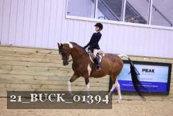 21_BUCK_01394 proof