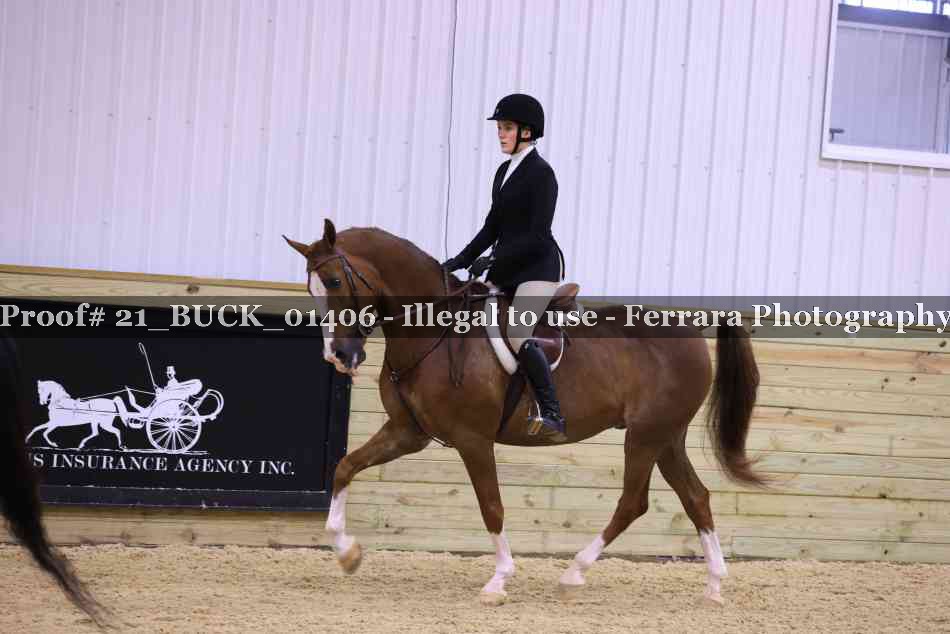 Proof 21_BUCK_01406