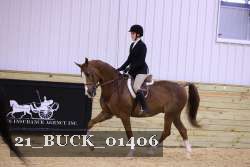 21_BUCK_01406 proof