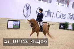 21_BUCK_01409 proof