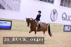 21_BUCK_01411 proof