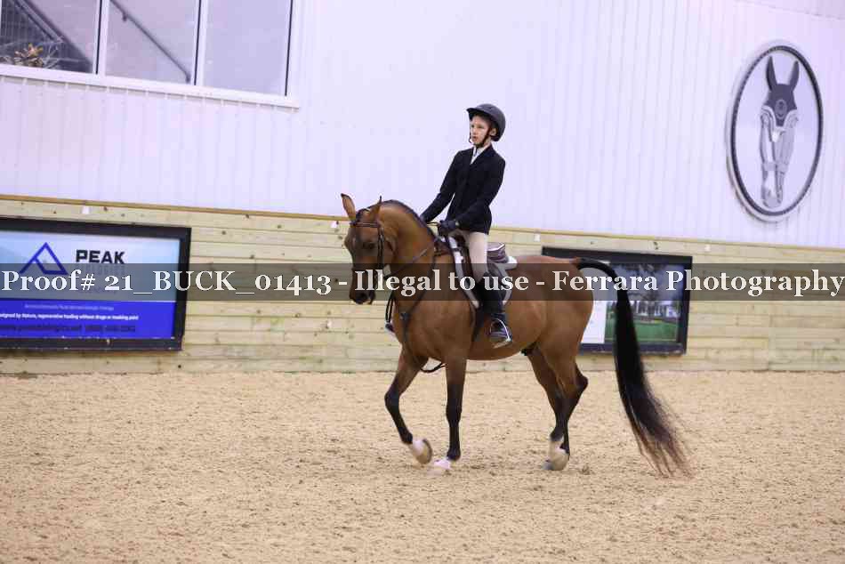 Proof 21_BUCK_01413