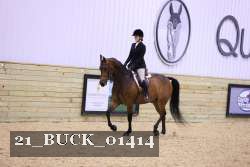 21_BUCK_01414 proof