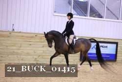 21_BUCK_01415 proof