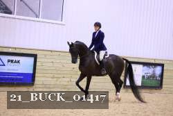 21_BUCK_01417 proof