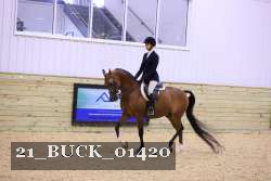 21_BUCK_01420 proof