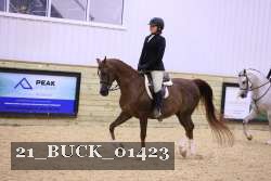 21_BUCK_01423 proof