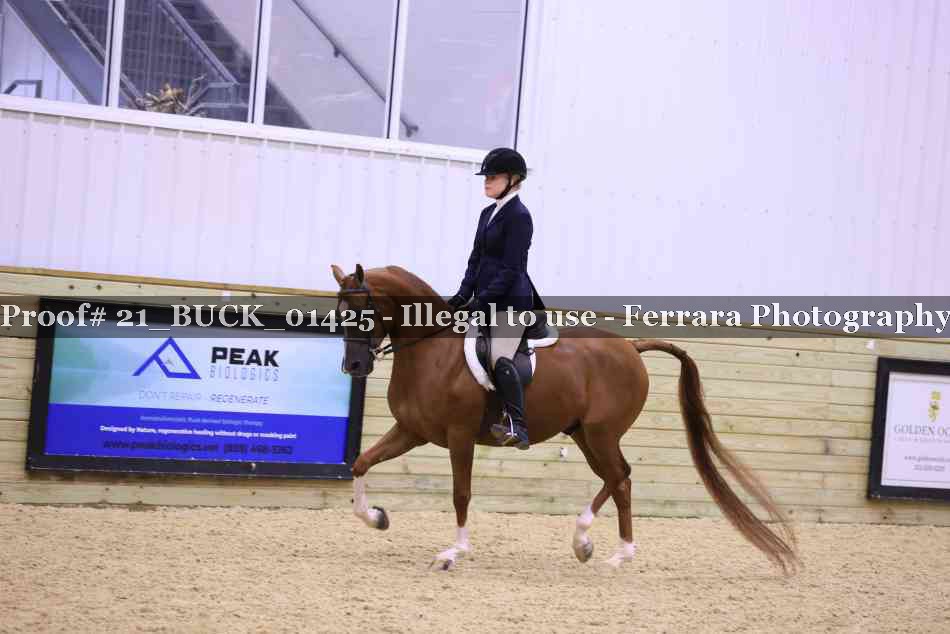 Proof 21_BUCK_01425