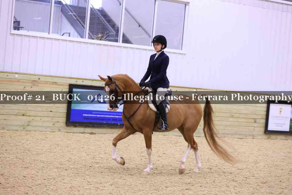 Proof 21_BUCK_01426